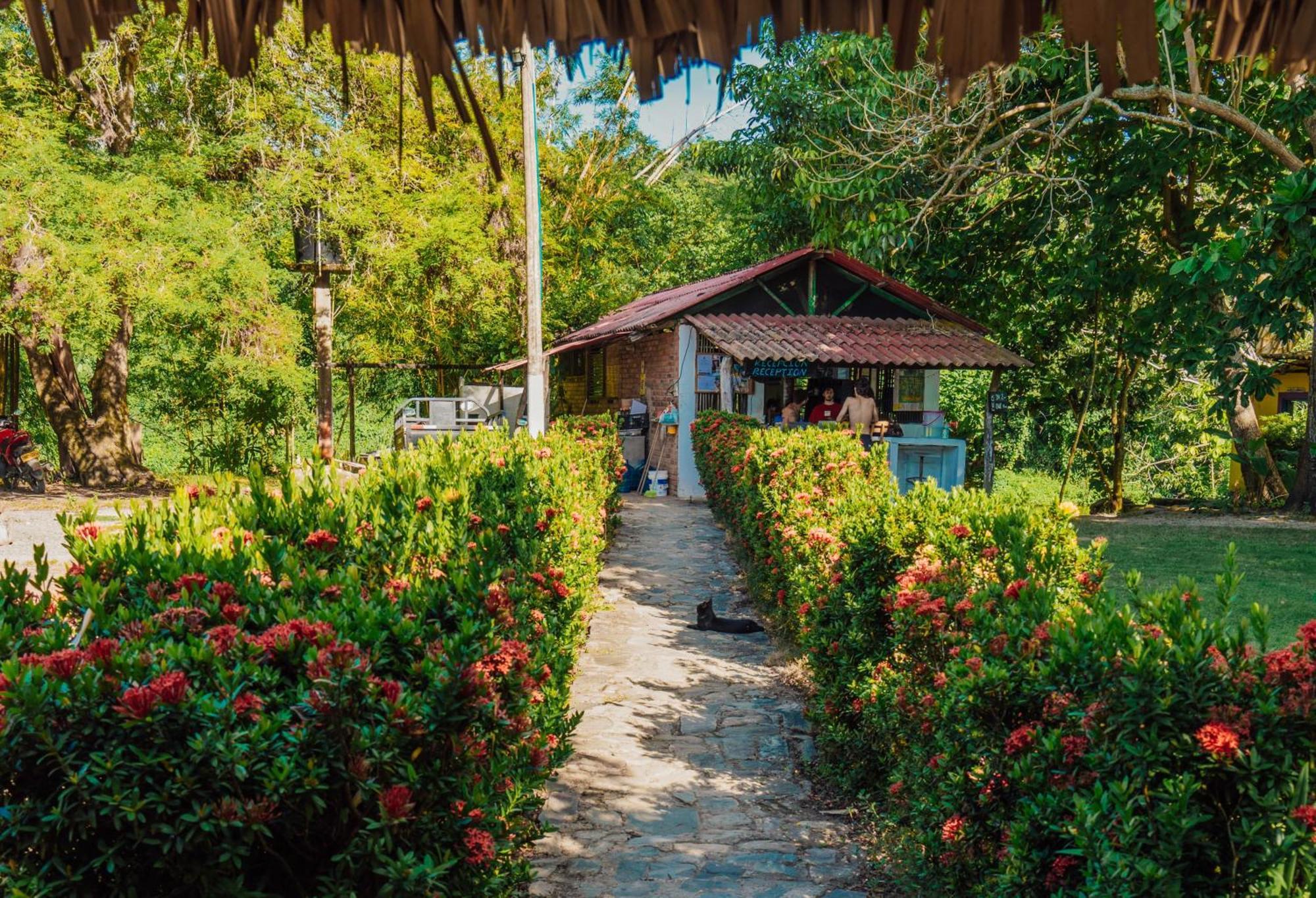 Jaba Jan Hostal Palomino Bagian luar foto
