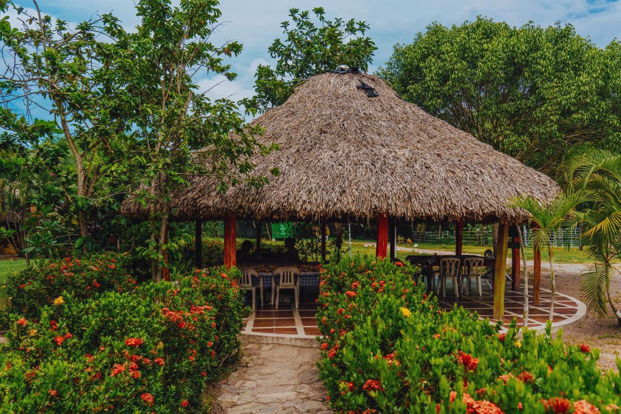 Jaba Jan Hostal Palomino Bagian luar foto