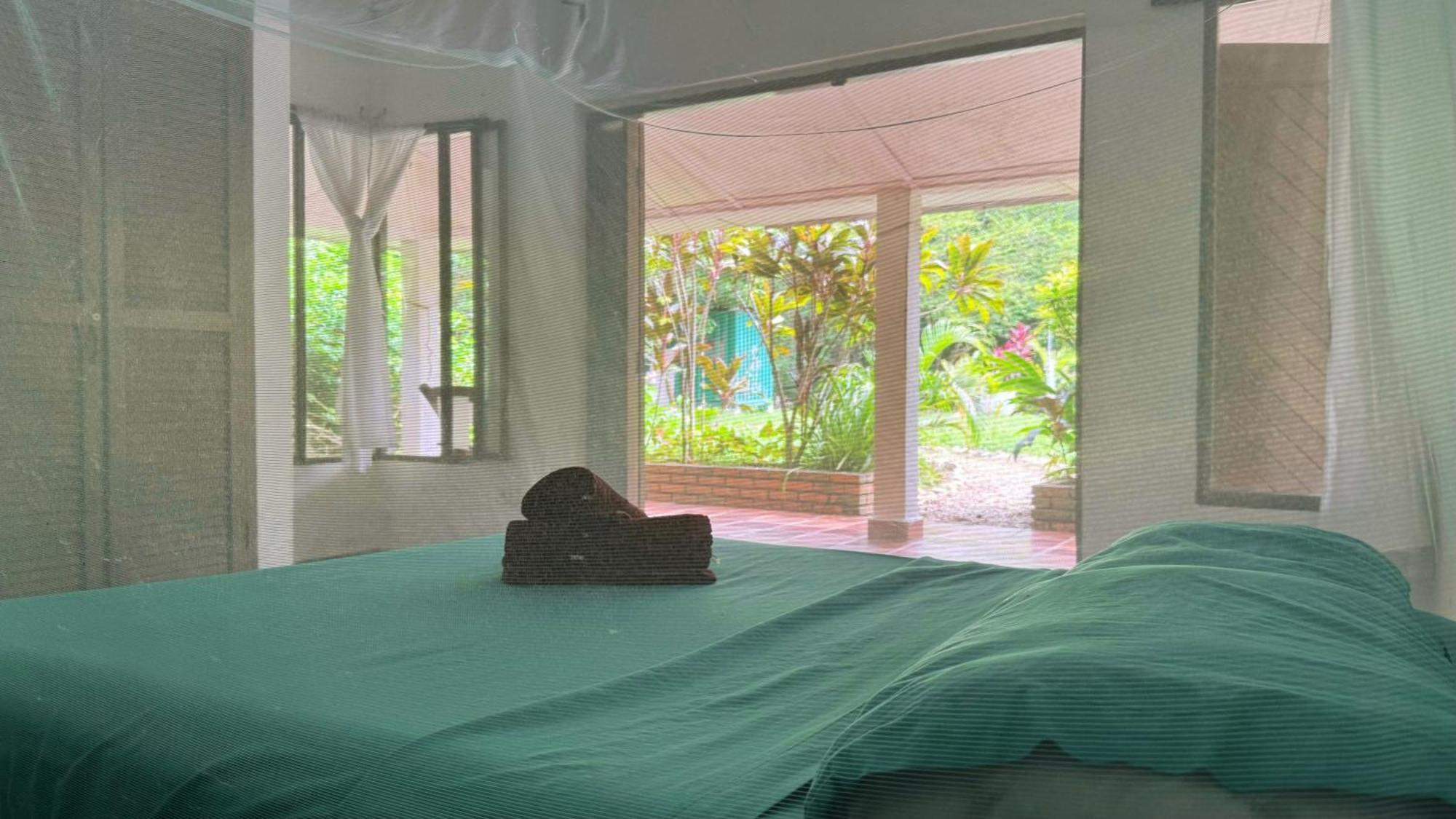 Jaba Jan Hostal Palomino Bagian luar foto