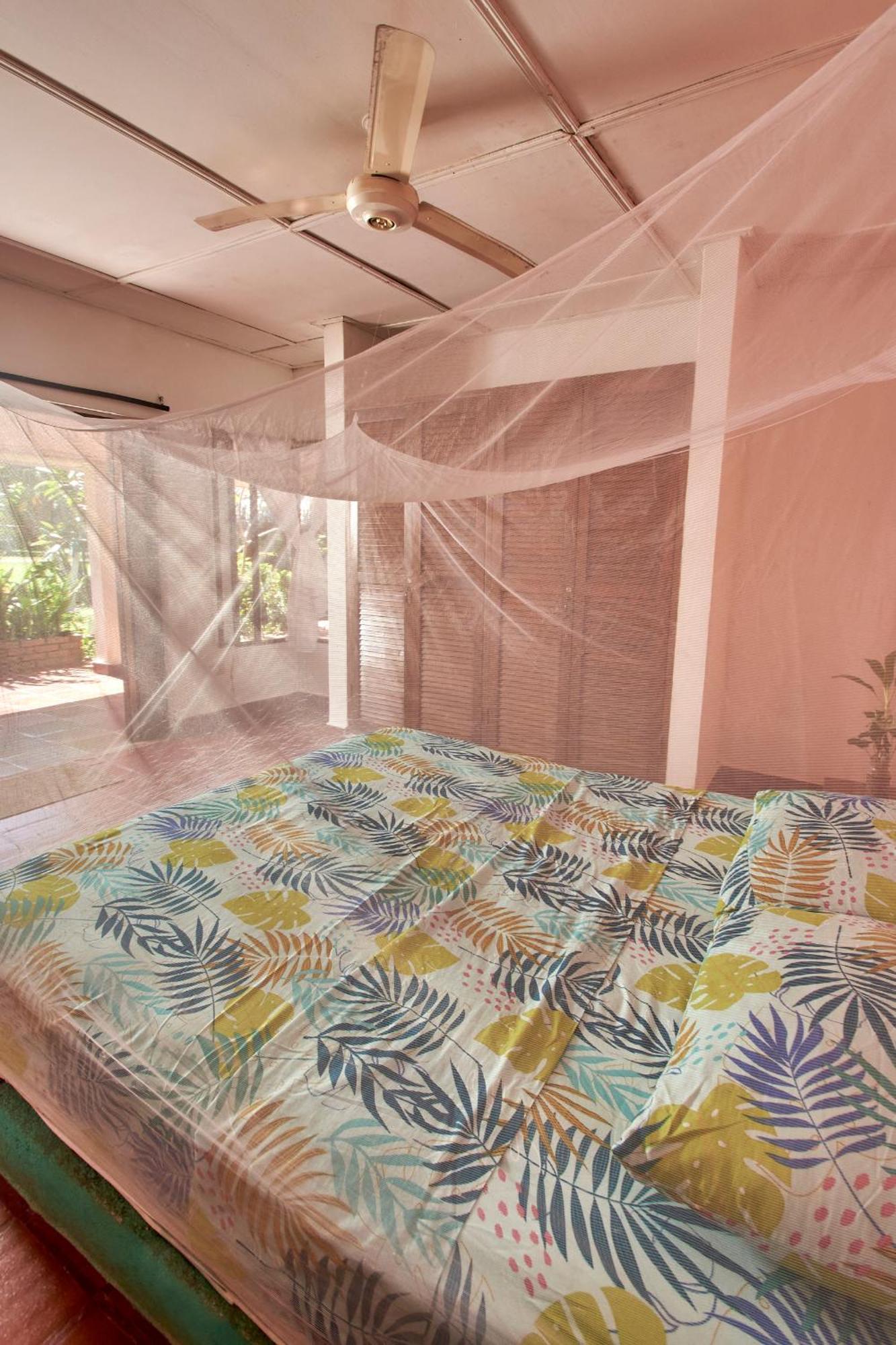 Jaba Jan Hostal Palomino Bagian luar foto